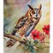 Edge Collections - 11 1/4" X 15 1/2" - Multicolor - Garden Long-Eared Owl Decorative Garden Flag - 1 Piece